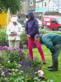 Diamond Jubilee Community Garden