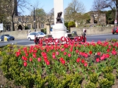 Cenotaph garden