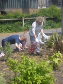 Aireville pupils at LMS garden workday